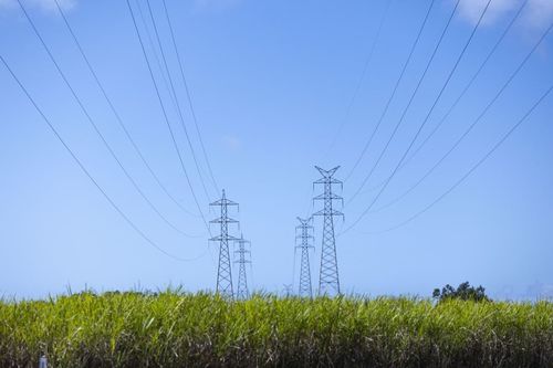 Najnowsze wiadomości o Rząd Australii rozpoczyna przegląd NEM w celu ułatwienia wzrostu energii odnawialnej